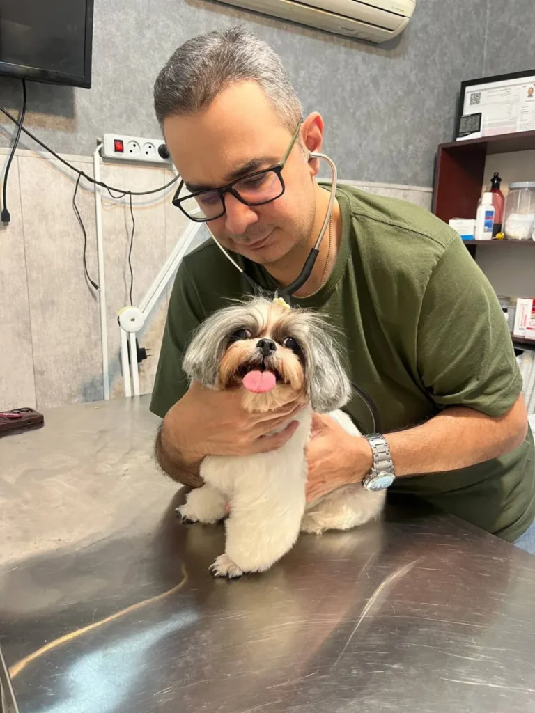Dr. Jayden DeWitt, DVM