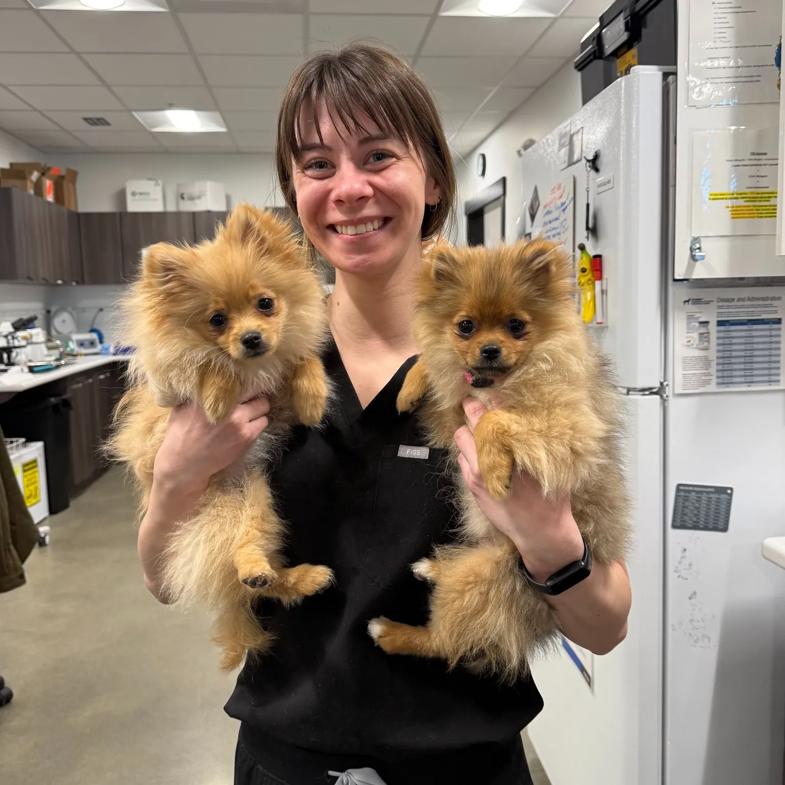 Dr. Lara Friedman, DVM
