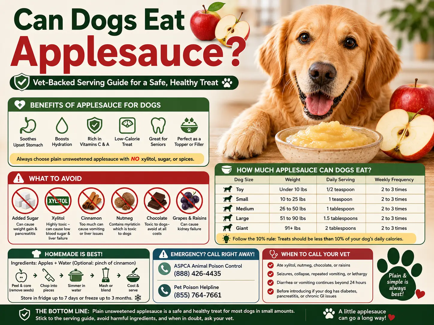 Can Dogs Eat Applesauce