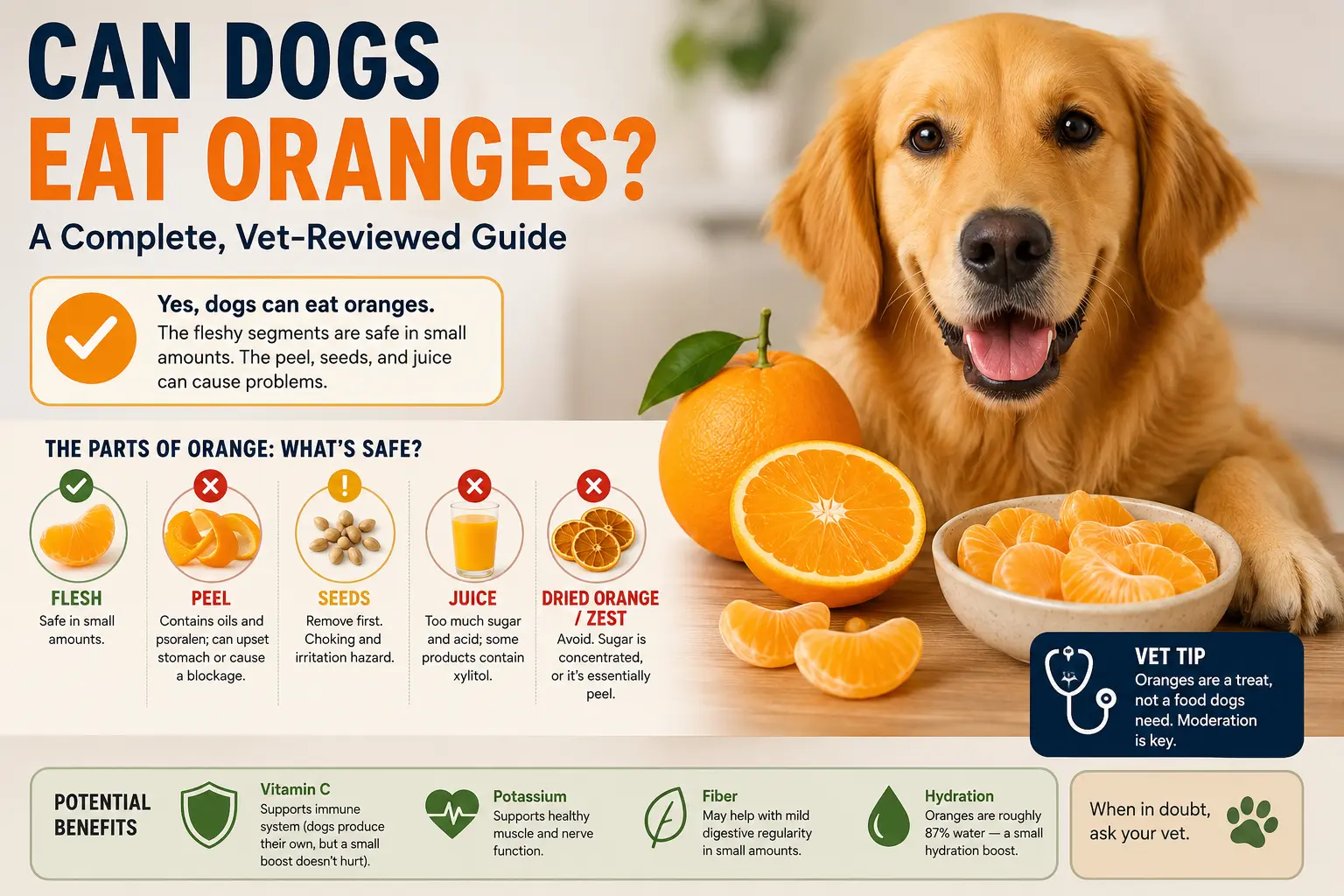 Can dogs eat oranges?